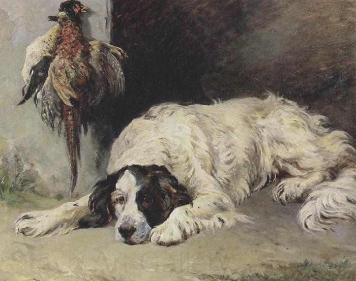 John emms An English Setter at the end of the Day (mk37) Norge oil painting art